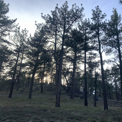 sound of the soul (freestyle)