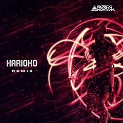 Ricardo Montana X Heiroom — Afterlife (KARIOKO Remix)