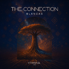 The Connection