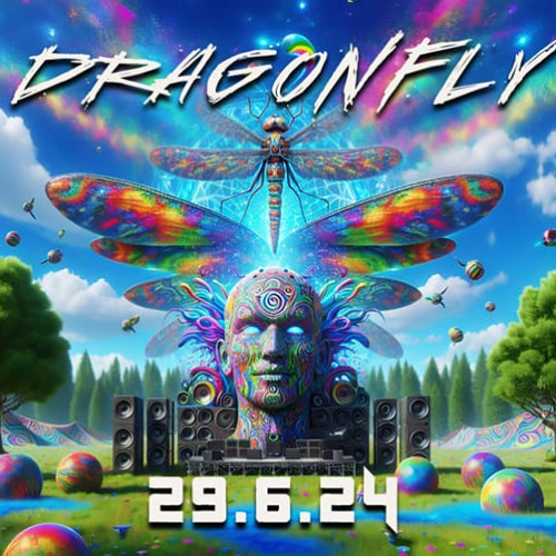 29.6.24 - Dragonfly
