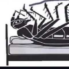 ÜBERSPRINGEN (benjo)