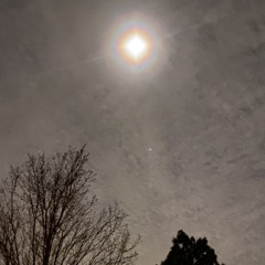 FADING INTO THE MOON