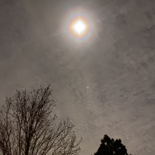 FADING INTO THE MOON