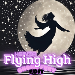 HEINZA - Flying High (Gnome Fury Edit)