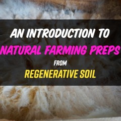 An Introduction To KNF IMO Preps | Regenerative Soil With Matt Powers EXCERPT