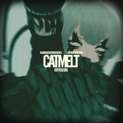 EPISODE 156 - CATMELT