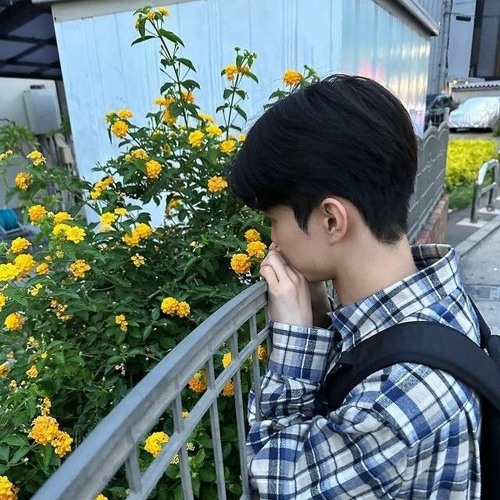 민들레