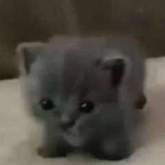 :