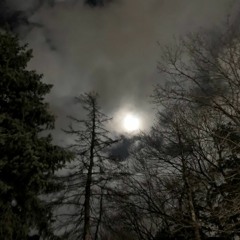 Feel Me Prod @tearsssssssssssss