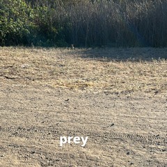 wrist sick (Fuckk0na)