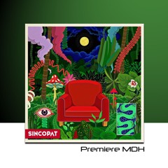 PREMIERE: Amirali - Arcane Caress [Sincopat]