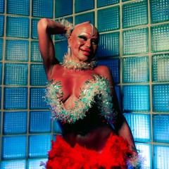 MASTERplano invites mulhercolher - 15 November 2025