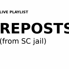 EN_PUNITION_REPOSTS_35