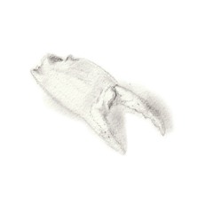 Look What I Found - Hermes Experiment Live at Cafe OTO