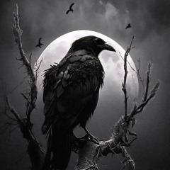 𝕸𝖎𝖉𝖓𝖎𝖌𝖍𝖙 𝕾𝖊𝖓𝖙𝖎𝖓𝖊𝖑