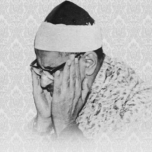 أم خلقوا من غير شئ أم هم الخالقون ¦ محمد صديق المنشاوي