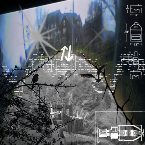 oneohtrix point never black snow iyrliaes remix