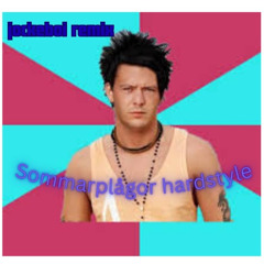sommarplagor_jockeboi_remix