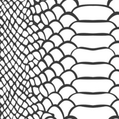 SnakeSkin - (Deep House Extended Edit)