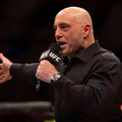 GET IT DONE - Joe Rogan Best Motivational Speech - Gym Motivation