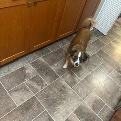 Kendrick x  Mac miller