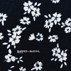 Shaped & Suinyl - Espejo EP [CPD071]