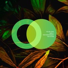 Veljko Jovic, Nigel C - The Future (Original Mix) [Area Verde] // Progressive House Premiere