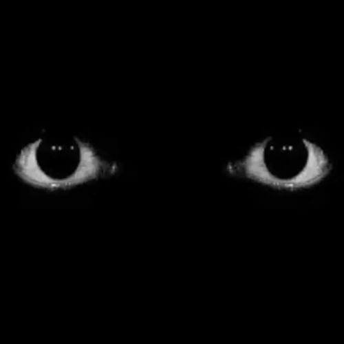 Stream Seeking More By Treezo Listen Online For Free On Soundcloud