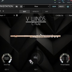 Sonatina movement - VWINDS bundles test