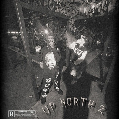 BLACK MAFIA FAMILY - ascrim