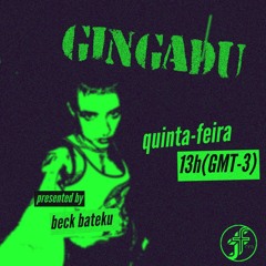 GINGADU/ function fm
