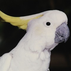 1989 - 07 - 22 SFB 2 Studio 92.4 Mit Jens Mahlstedt Tape 91 AB