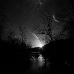 Secrets Of The Night