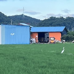 달리기