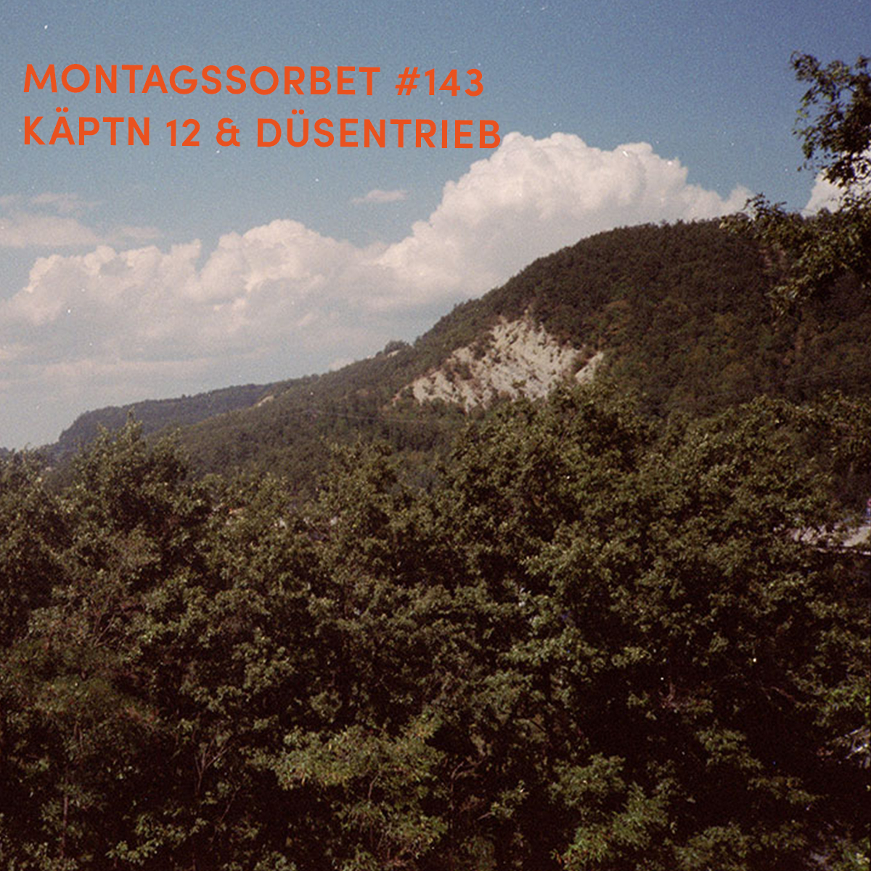 #143: Käpt'n 12 & Düsentrieb - Montagssorbet mit Laut & Luise episode artwork