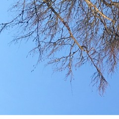 3 breaths; love, peace & happiness meditation