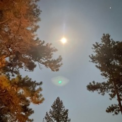 Dusk2Dawn