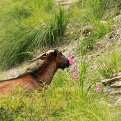 HK_Funky_tracks_72