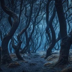 Dark Spooky Woods