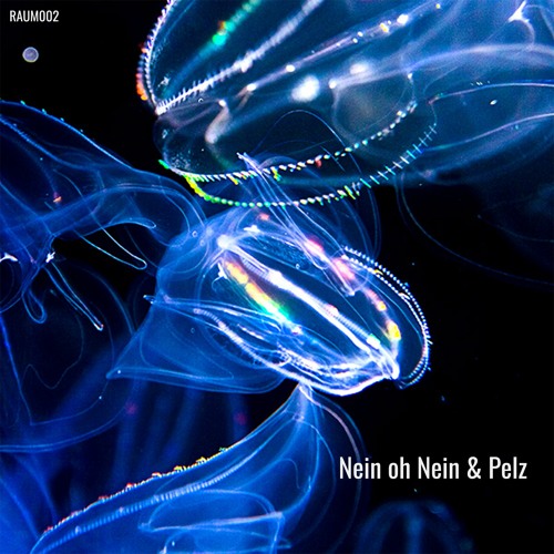 Nein oh Nein - Minilogic