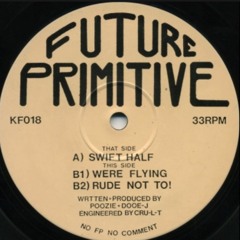 Future Primitive - We're Flying (320 Kbps)