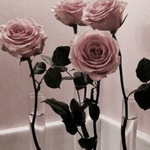 Current Joys - Blondie (sped up)