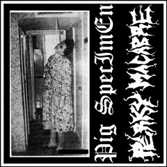 Pig SpecImEn - Fournier’s Gangrene / Bandcamp, how dare you disrespect Last Action!?! / HyperSmegmia