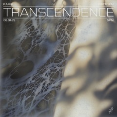 Transcendence with P.Amir 06.01.25