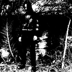 intro litorarum