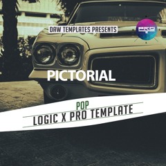 Pictorial Logic X Pro Template