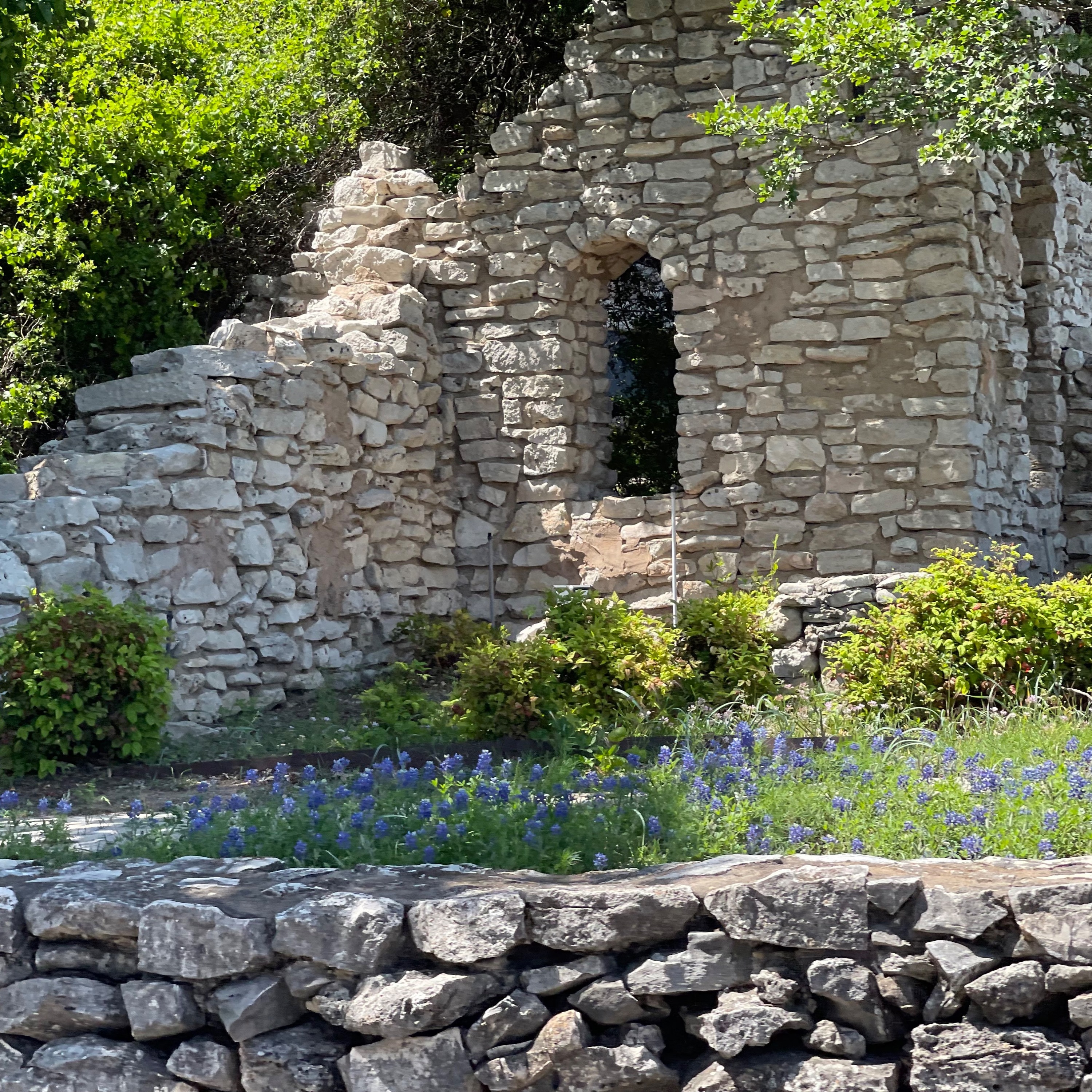 Monthly Contemplations ~ 'Garden' 23 July 2025 episode artwork