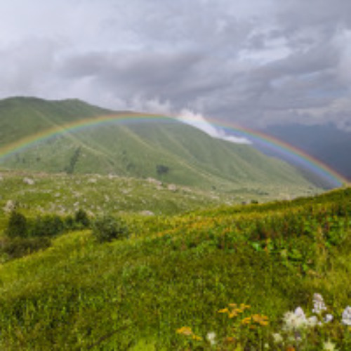 Nice Party, Tbilisi, August 2024