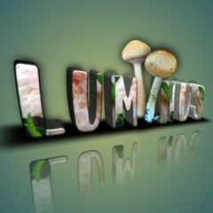 01 - LUMIINUS - ILUMINA - TE