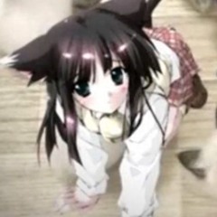 scars all over my stupid cuck wrists i pop pills in the shower